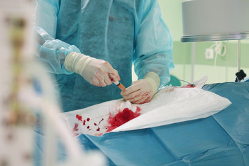 The hands of a surgeon.