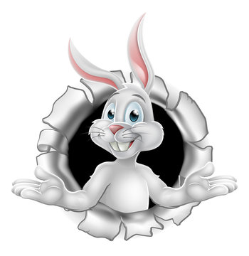 Easter Bunny Cartoon Character