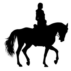 The black silhouette of horse and jockey