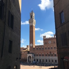 Obraz premium Siena (Tuscany, Italy)