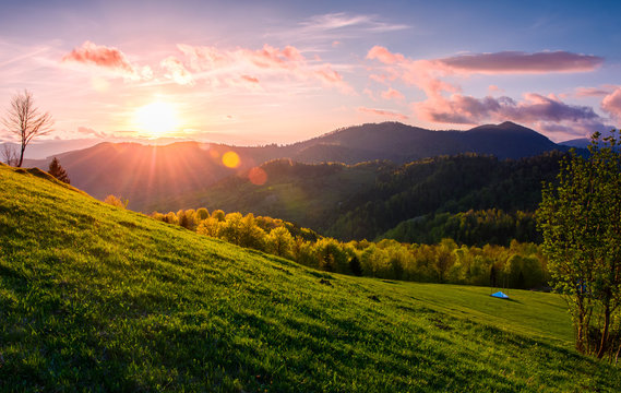 pink sunset over the mountains in springtime. gorgeous Carpathian countryside. beautiful rural scene with fields and trees
