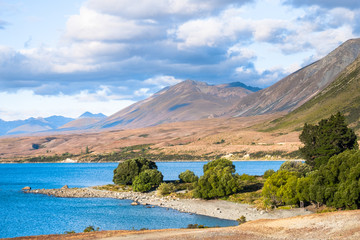Beautiful scene of the yellow grassland mt cook and lake tekapo before sunset.