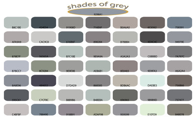 Shades of gray  color isolated on white background. Gray tones and shades. Color backgrounds with codes. Vector illustration of palette. - 195858549