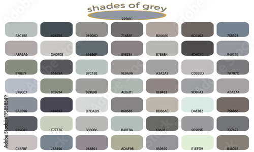 Shades Of Gray Color Isolated On White Background Tones And Shades Of Gray Color Isolated On White Background Tones And Backgrounds With Codes Vector Ilration Palette