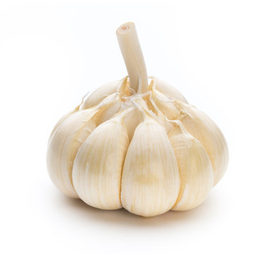 Garlic isolated on the white background.