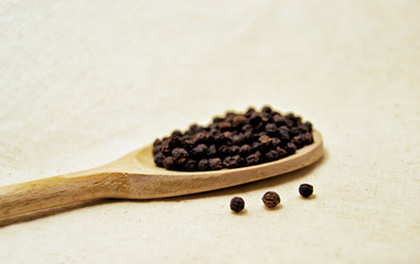 soft focus of spicy black pepper seeds on a wooden spoon (piper nigrum - piperaceae - piperales)