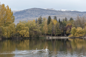 Autumn scene in pond of Puigcerda, city of the Pyrenees in Cerdanya region, Catalonia, Spain.