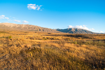 Beautiful scene of the yellow grassland mt cook and lake tekapo before sunset.