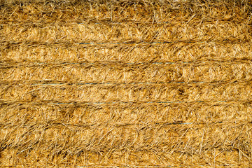 A Wall of Straw