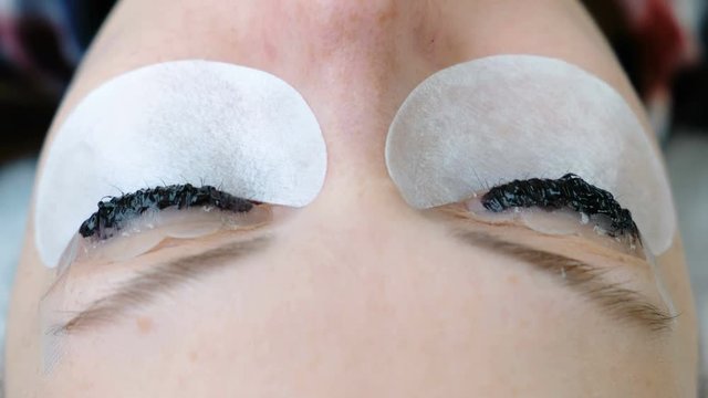Beauty treatment. Closeup eyes in woman's face with paint on eyelashes. Botox and laminating eyelashes.