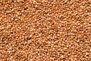 dry buckwheat closeup