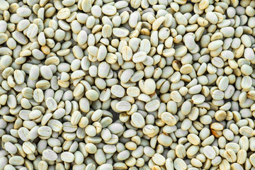 Pile of fresh unroasted arabica coffee bean. Coffee background