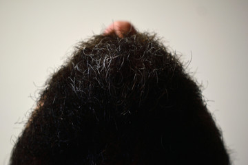 barba1