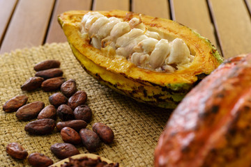 Raw cocoa fruit, cacao beans on wooden table
