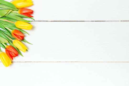 Beautiful fresh tulips on white boards. Wooden background with copy space.