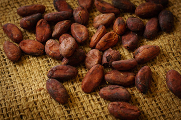 Pattern of the cocoa beans on burlap background