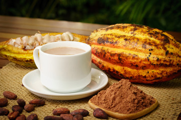 Hot chocolate drink, raw cocoa fruit, cacao beans, powder