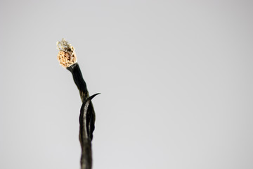 Burnt Match