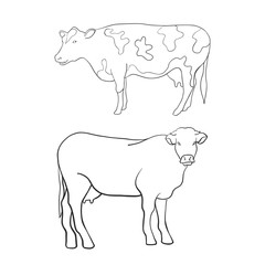 Line art animal cow, vector