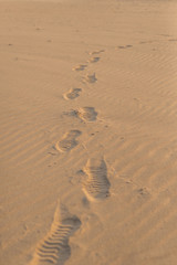 Sandy Footsteps 