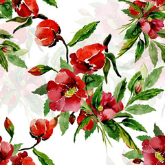 Watercolor illustration of a flowering briar branch.