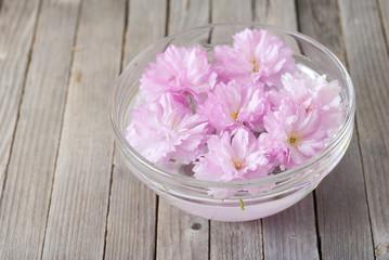 Fototapeta na wymiar Floating flowers, aroma bowl