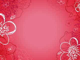 pink background with flowers