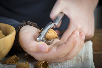 Manos cachando almendras con un cascanueces o cascador. 