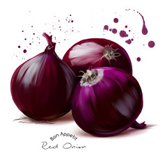 The red onion watercolor painting