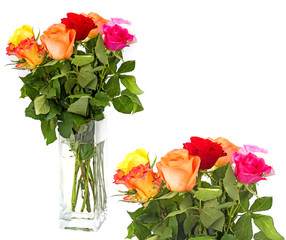 roses in vase isolated on white