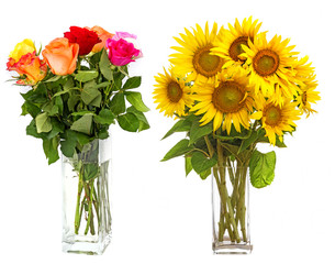 roses in vase and sunflowers in vase isolated on white