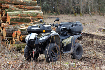 Quad im Wald