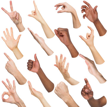 Set of diverse hands gesturing at white isolated background
