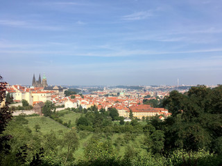 Fototapeta na wymiar View of Old Town Prague from a vineyard on a hill in Prague, Czech Republic. Looking down a hill from a vineyard. St Vitus Cathedral and Prague Castle in the background.