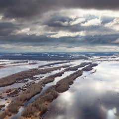 Forest river in spring, top view
