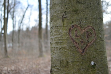 Baum mit Herz