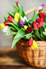 Floral background, greeting card, harvesting, mocap for greetings for mother's day, international women's day: bouquet of colorful tulips in basket on wooden background, copyspace
