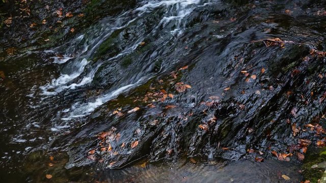 Small waterfalls of the mountain creek Tro Maret running over slate rock in the Ardennes, Belgium with some brown old leaves.