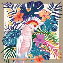 Parrot abstract color  tropical pattern frame © berry2046