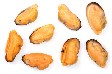mussels isolated on white background. Top view. Flat lay
