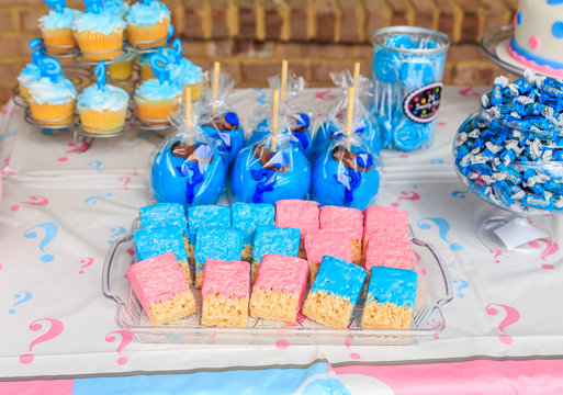 Outdoor Pink and Blue Gender Reveal Party Decoration:  Pink and blue, girl or boy, outdoor gender reveal party decoration and party favorites.