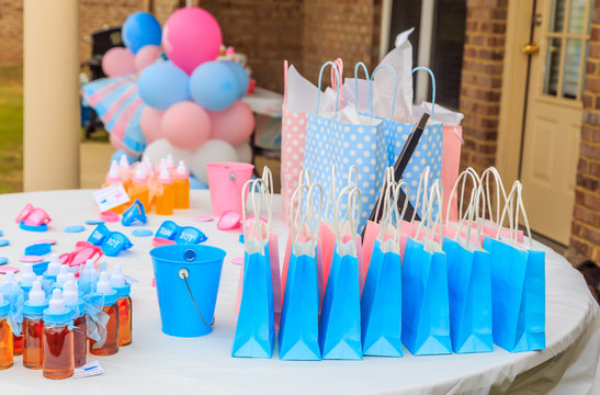 Outdoor Pink and Blue Gender Reveal Party Decoration:  Pink and blue, girl or boy, outdoor gender reveal party decoration and party favorites.