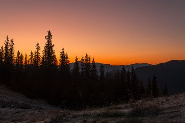 nature, forest, mountains and sunset