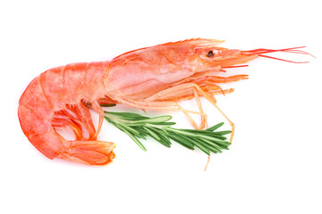 Red cooked prawn or shrimp with rosemary isolated on white background. Top view