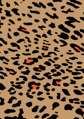 Leopard Skin