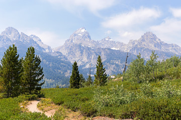 Fototapeta premium Szlak trekkingowy w Grand Teton National Park, WY, USA
