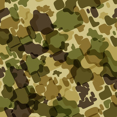 Camouflage background
