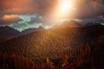 Fototapeta premium beautiful weather and a ray of sunshine in a mountain climate