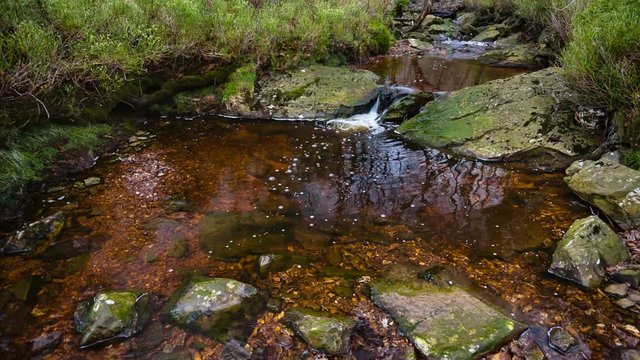 Small waterfall and lake of the mountain creek Tro Maret in the Ardennes, Belgium. The water is brown due to the high amount of peat in the area.