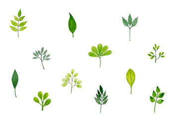 Pattern With Green Leaves In Watercolor